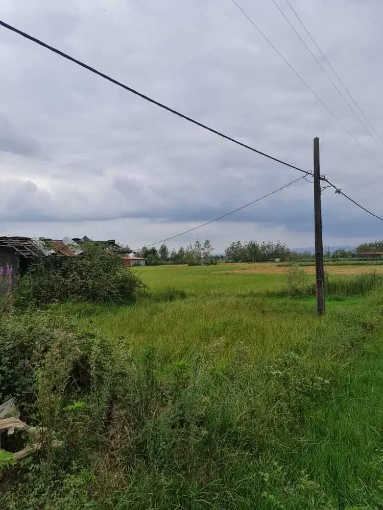 فروش بیجار در شفت|فروش زمین و ملک کلنگی|شفت, |دیوار