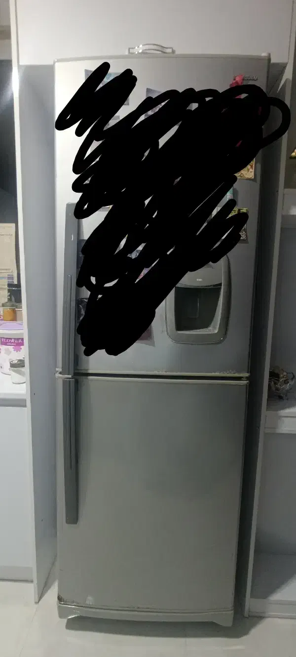 یخچال فریزر|یخچال و فریزر|آستارا, |دیوار