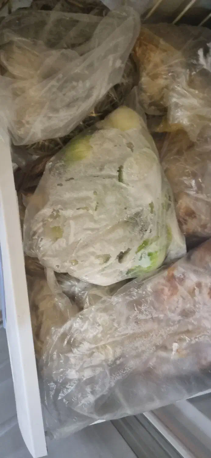 حراج فوری یخچال  برفاب|یخچال و فریزر|اصفهان, الهیه|دیوار