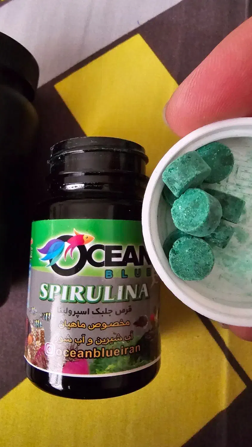 غذا با کیفیت ماهی آکواریوم|ماهی|بابل, |دیوار