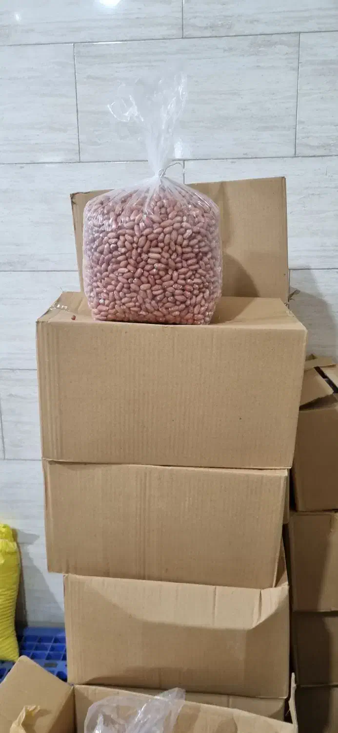 بادام زمینی آستانه اشرفیه|عمده‌فروشی|قرچک, پویینک|دیوار