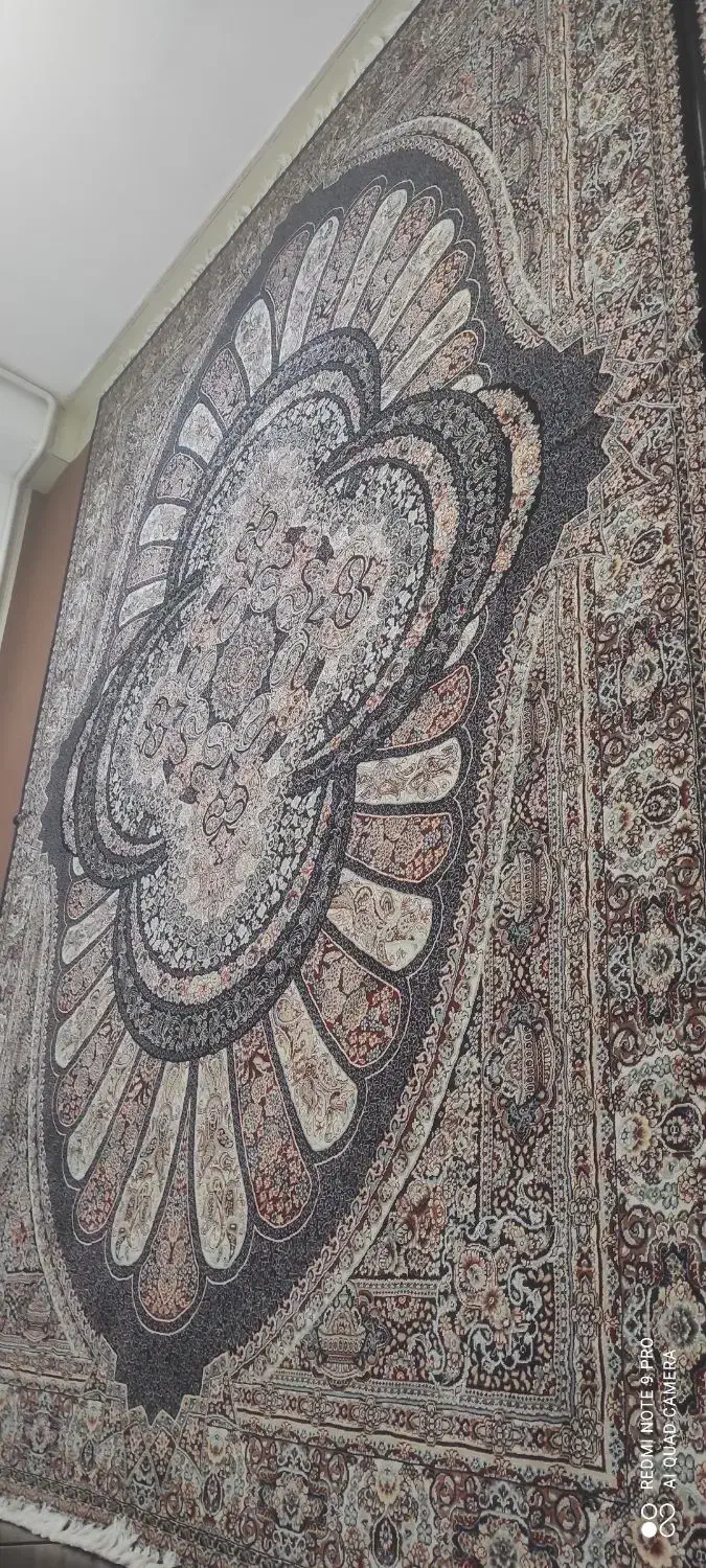 دوتخته فرش دوازده متری 700شانه درحدنو|فرش|پاکدشت, پاکدشت (مامازند)|دیوار