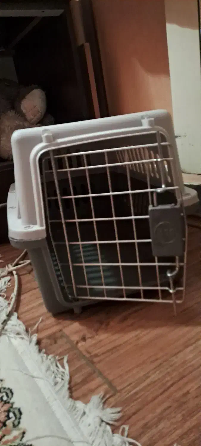 باکس پت|لوازم جانبی حیوانات|رشت, گلسار|دیوار