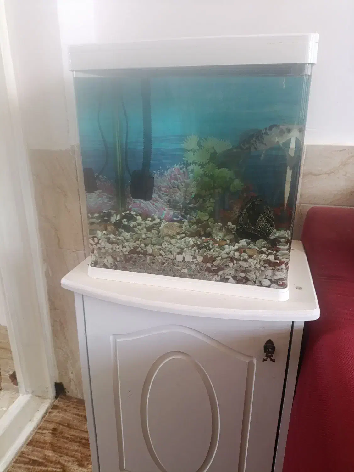 کمد زیر آکواریوم تمیز|ماهی|شهرضا, |دیوار