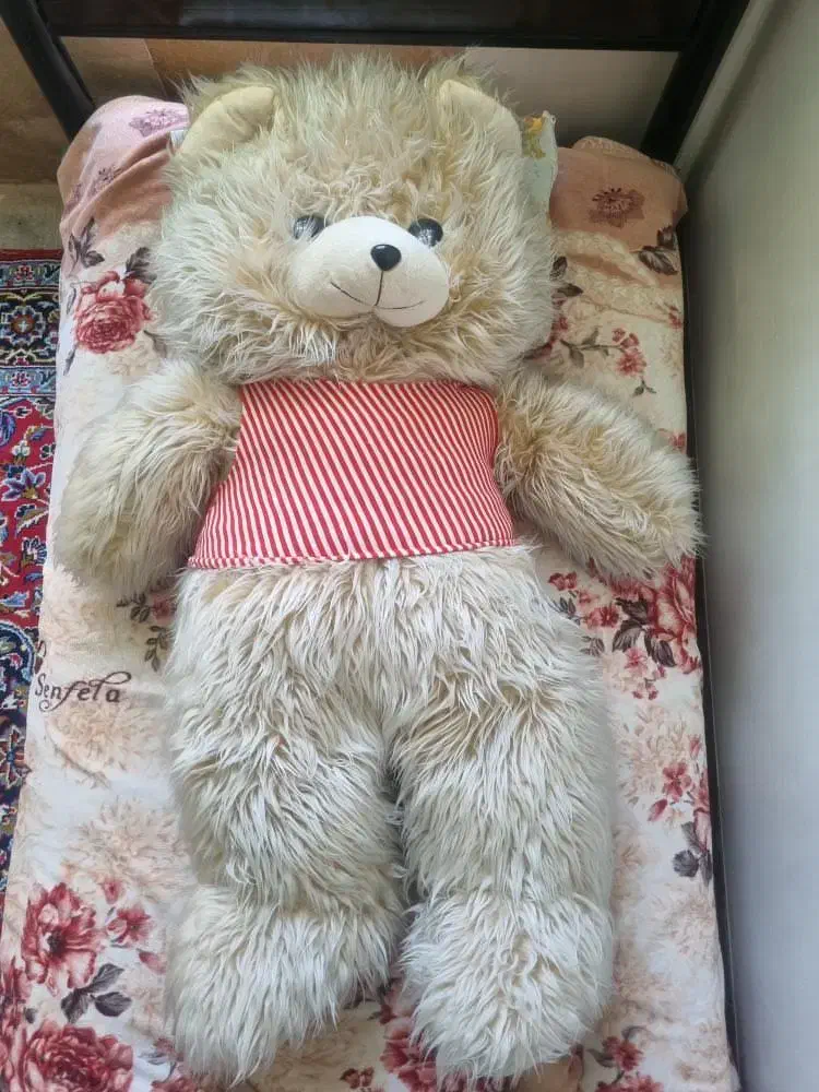 خرس خزدار|اسباببازی بچه|مرودشت, کناره|دیوار