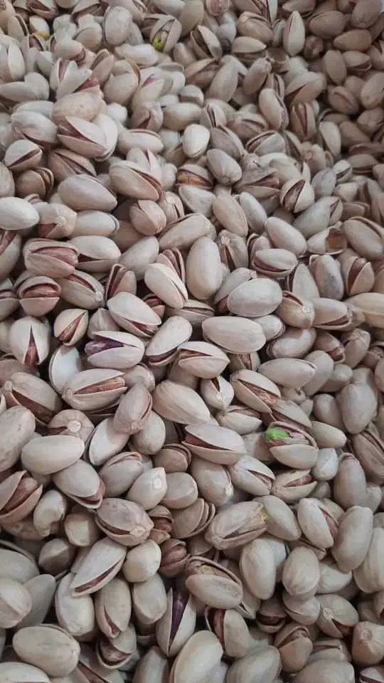 کارگر ساده مغازه|استخدام خدمات فروشگاه و رستوران|شیراز, کوزه گری|دیوار
