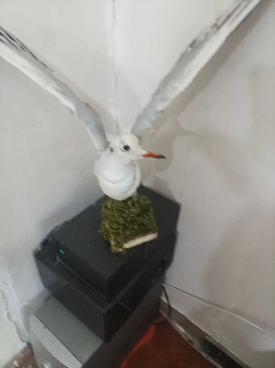 مجسمه|مجسمه، تندیس، ماکت|آبادان, |دیوار