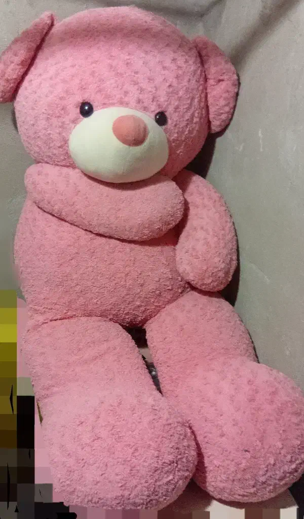 خرس بزرگ|اسباببازی بچه|ملایر, |دیوار