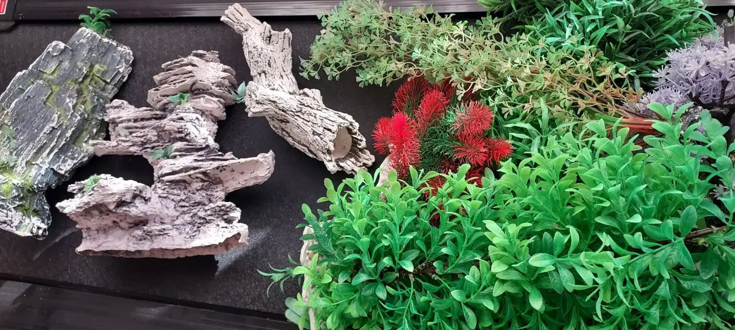 وسایل آکواریوم|ماهی|شیروان (خراسان), |دیوار