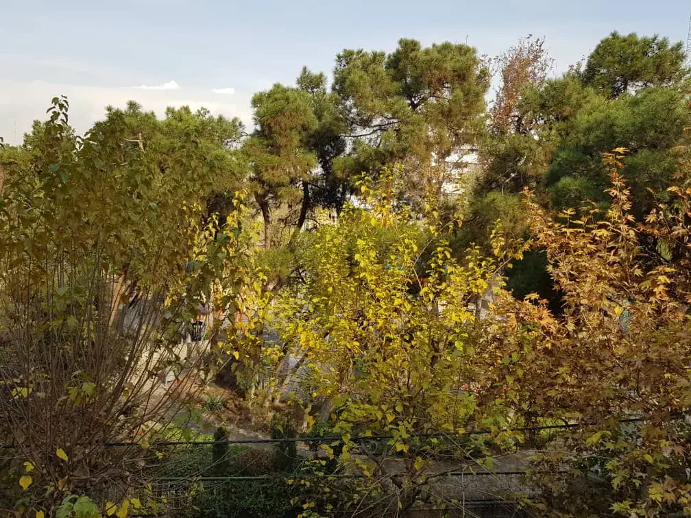 ۱۷۵ متر نوساز ۲ پارکینگه روبروی پارک شفق