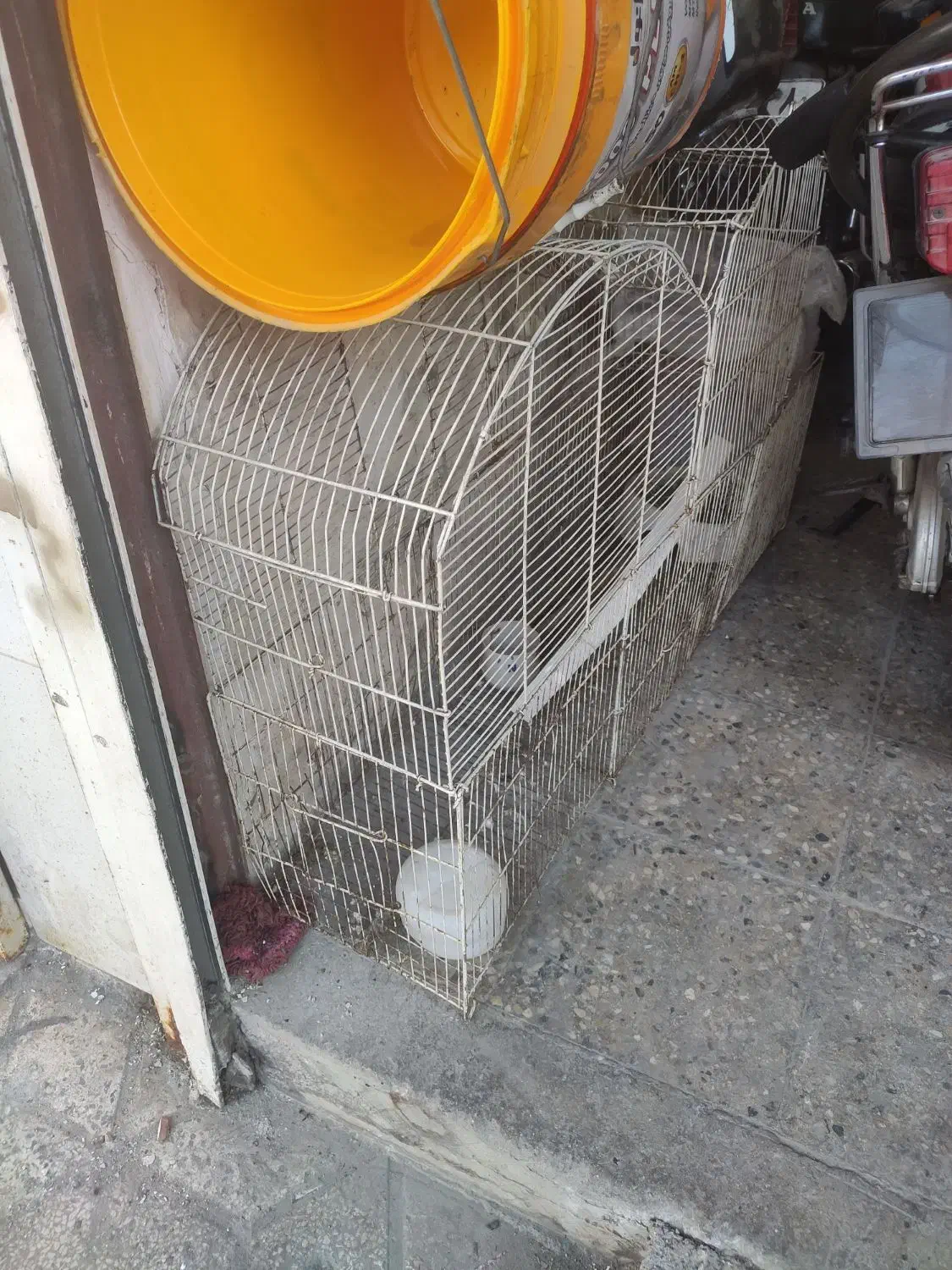 دو عدد قفس پرونده بزرگ|لوازم جانبی حیوانات|بوشهر, |دیوار