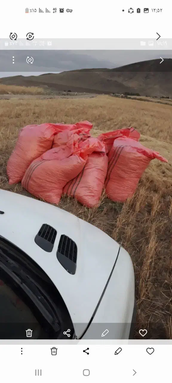 زمین کشاورزی در روستای تکدام|فروش دفتر صنعتی، کشاورزی، تجاری|انگوت, |دیوار