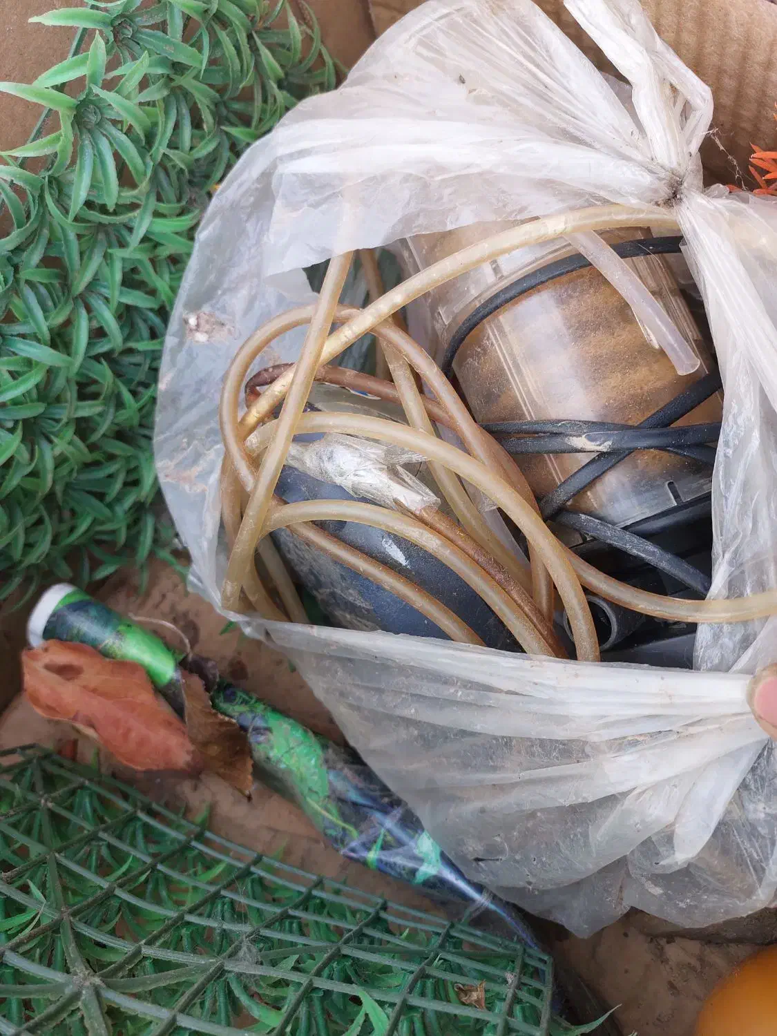 اکواریوم|ماهی|ملکان, |دیوار