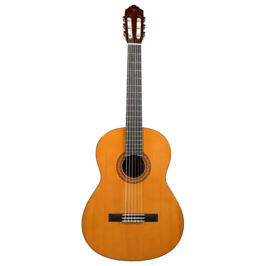 گیتار C40|گیتار، بیس، امپلیفایر|شیراز, ابیوردی|دیوار