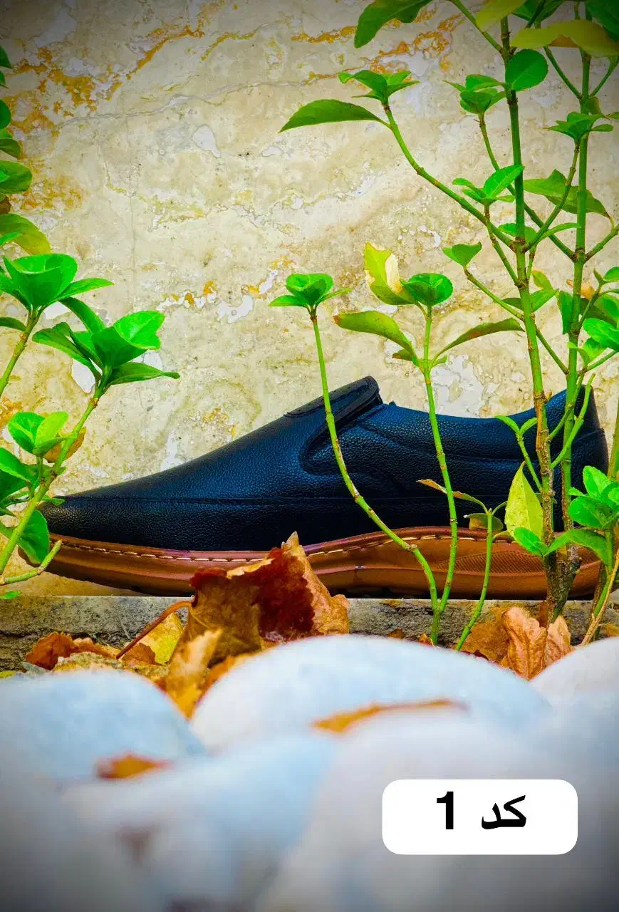 کفش مجلسی|کیف، کفش، کمربند|مشهد, محمدآباد|دیوار