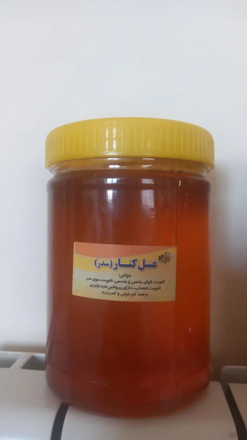 عسل /شیره انگور/سرکه سیب/سکنجبین/چهارشیره|خوردنی و آشامیدنی|اصفهان, احمدآباد|دیوار