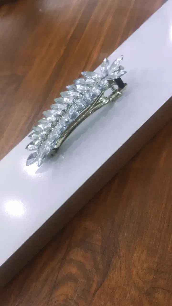 گیره موی سر|زیورآلات و اکسسوری|پارسآباد, |دیوار