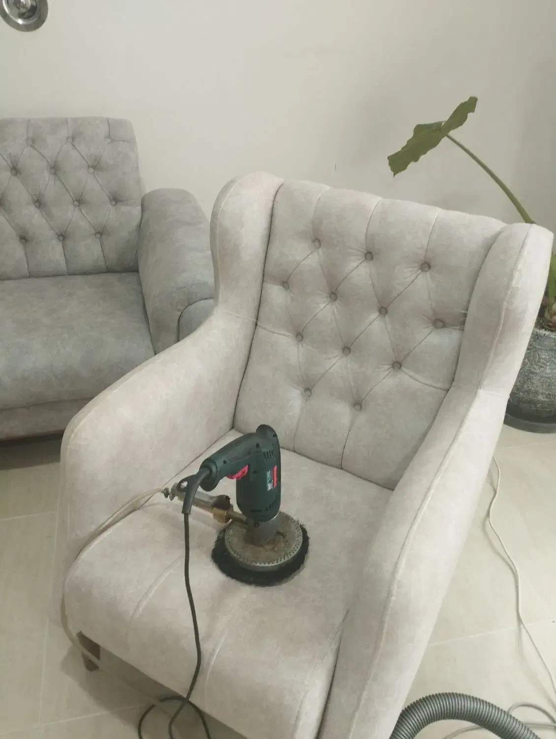 مبل شویی پاک مهاباد|خدمات نظافت|مهاباد (آذربایجان غربی), |دیوار