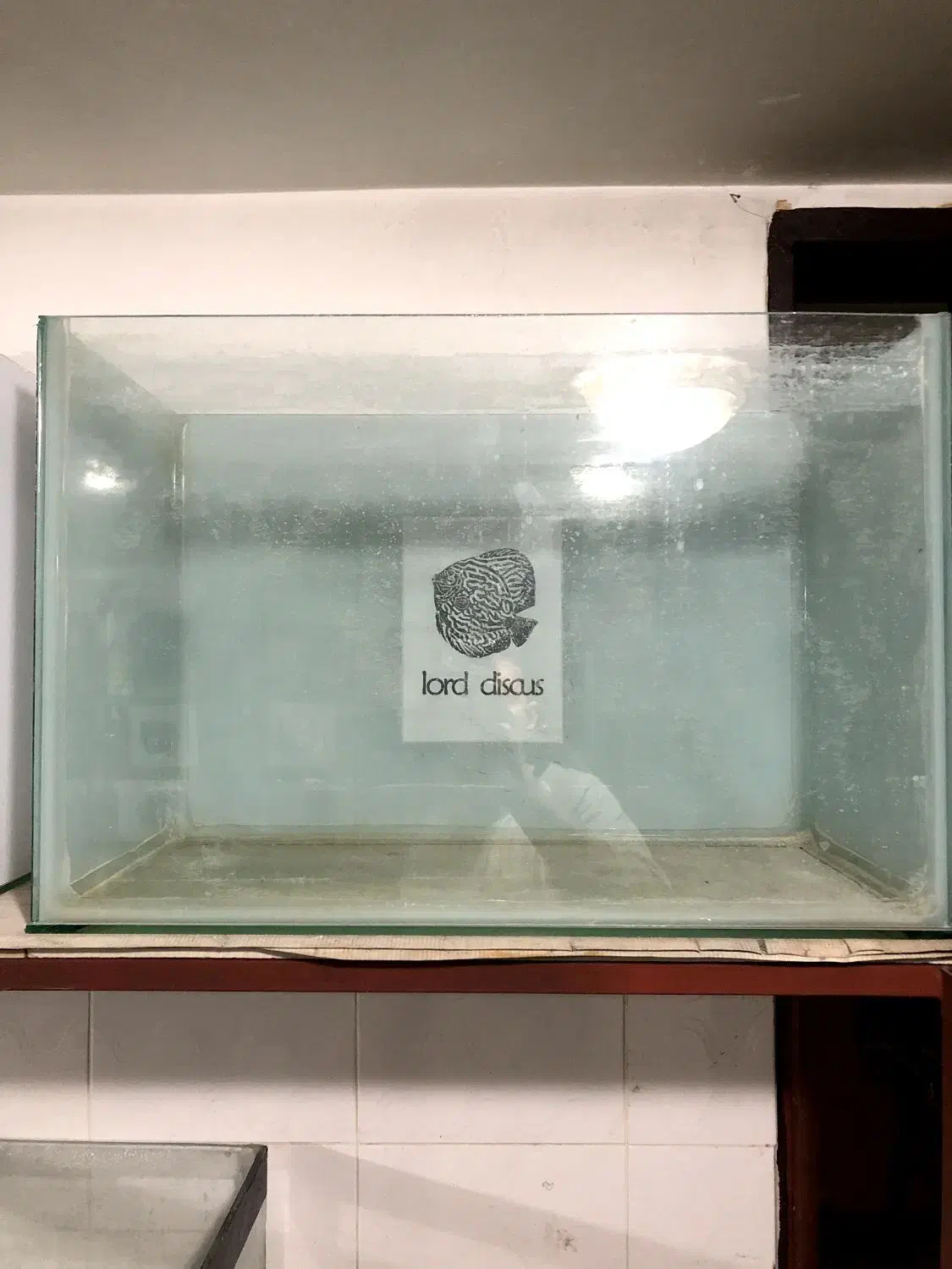 اکواریم شیشه ۶ میل|ماهی|قم, شهرک قدس|دیوار