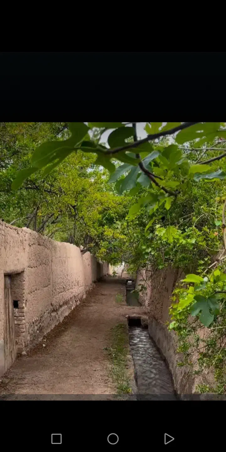 همسفر بوشهر|فعالیت داوطلبانه|برازجان, |دیوار