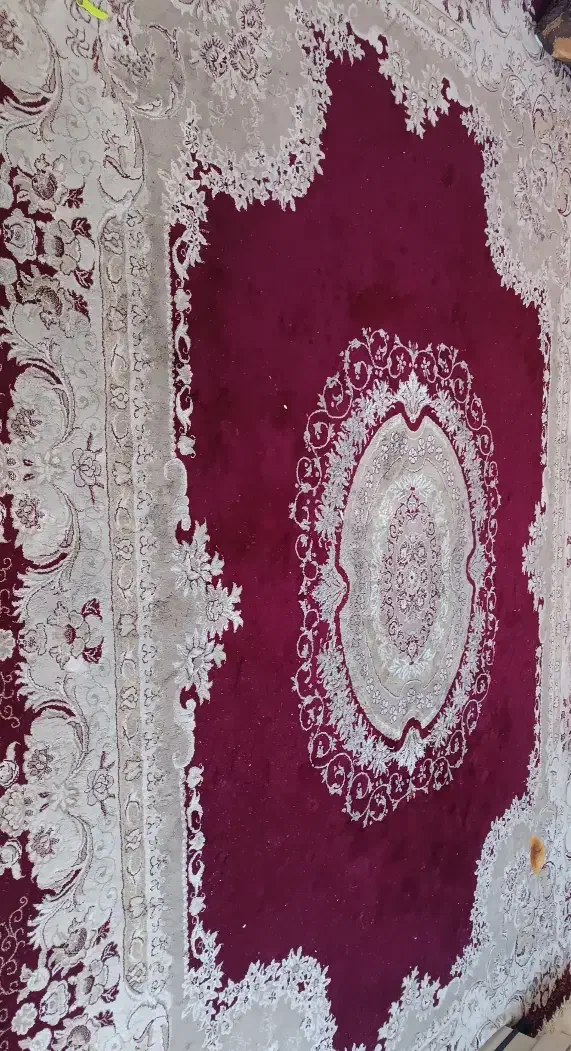 فرش ۱۲متری|فرش|بندرعباس, |دیوار