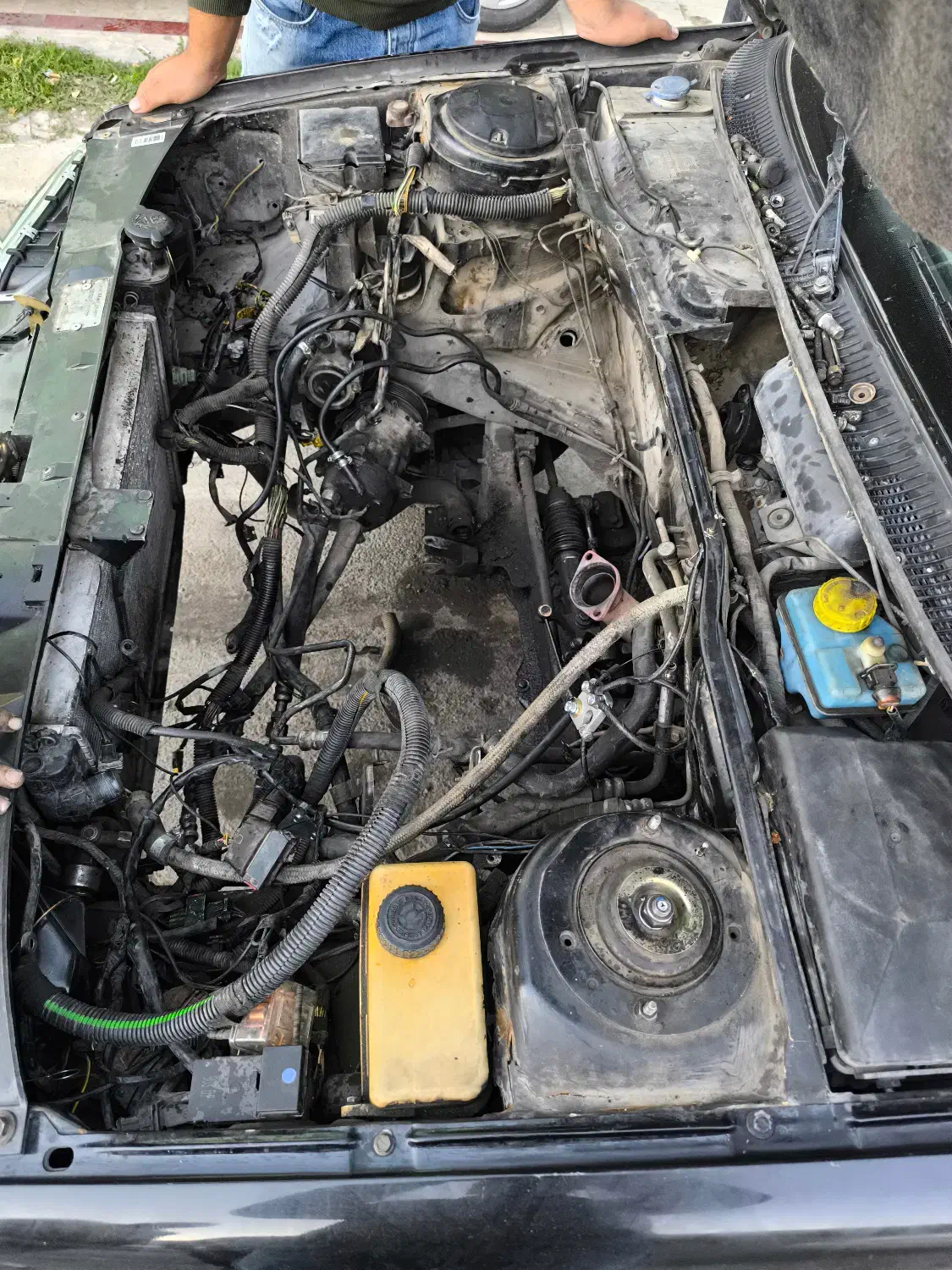 پژو 405|خودرو سواری و وانت|ماکو, |دیوار