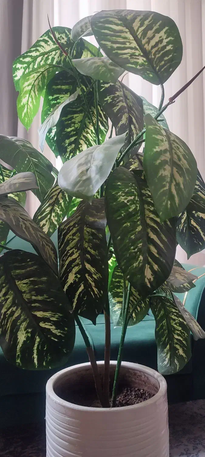 گل مصنوعی|گل مصنوعی|یاسوج, |دیوار