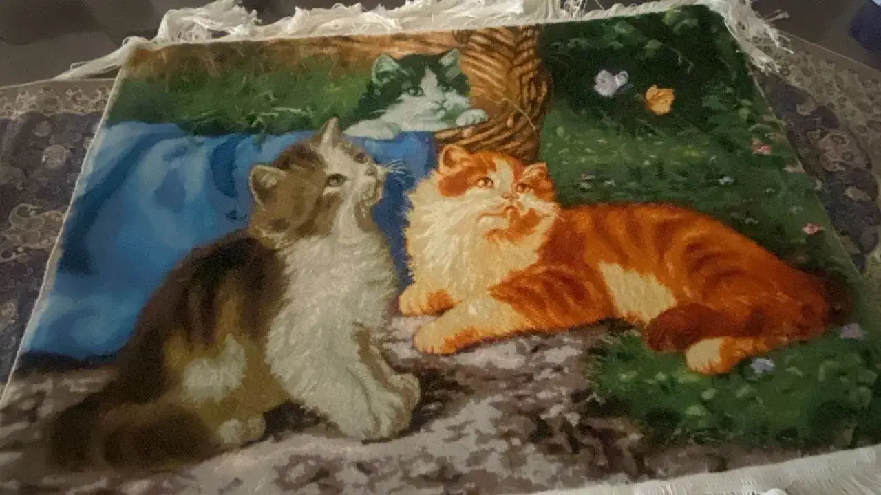 تعدادی تابلوفرش به انضمام یک عددساعت|تابلو فرش|رشت, کاکتوس|دیوار