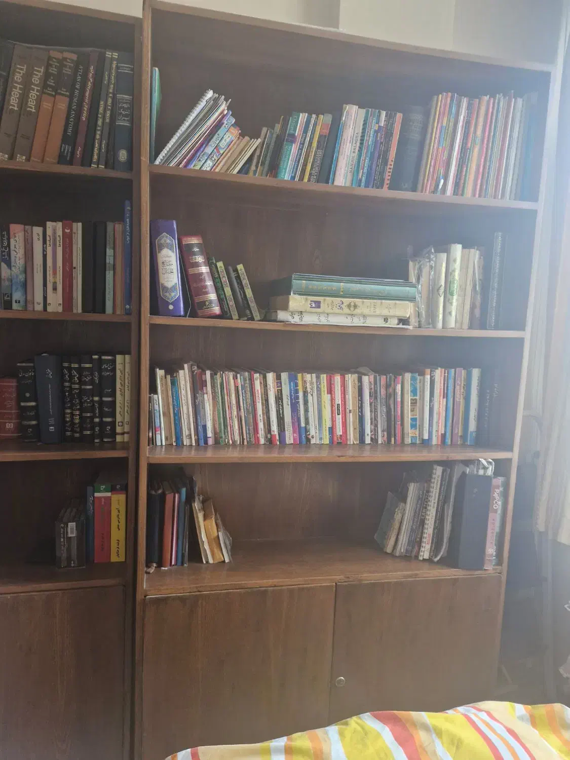 کتابخانه چوب گردو یک جفت|کتابخانه، شلف، قفسه‌های دیواری|تهران, قلهک|دیوار