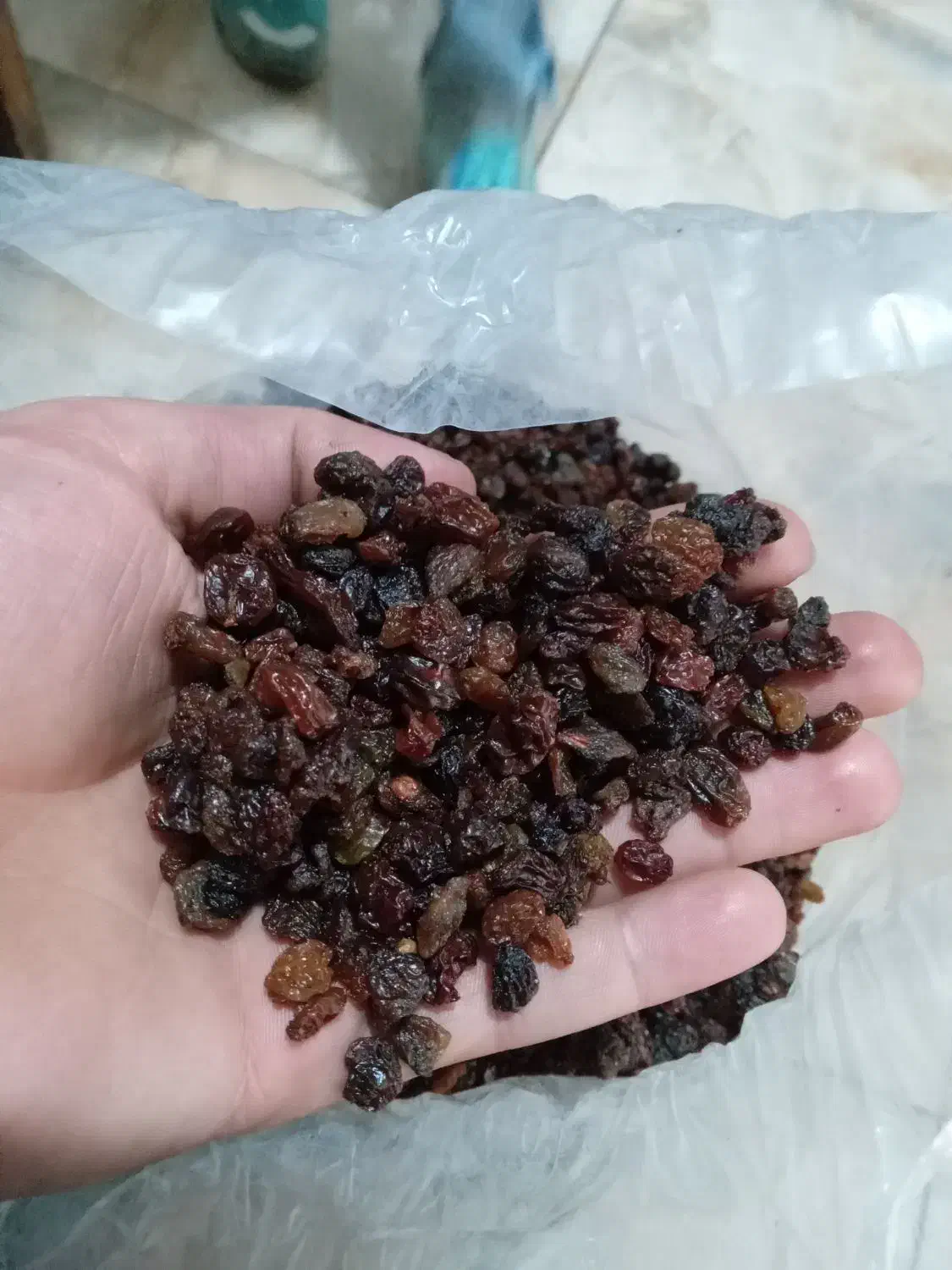 بی دونه آفتابی بدونه هسته|خوردنی و آشامیدنی|ماهدشت, |دیوار