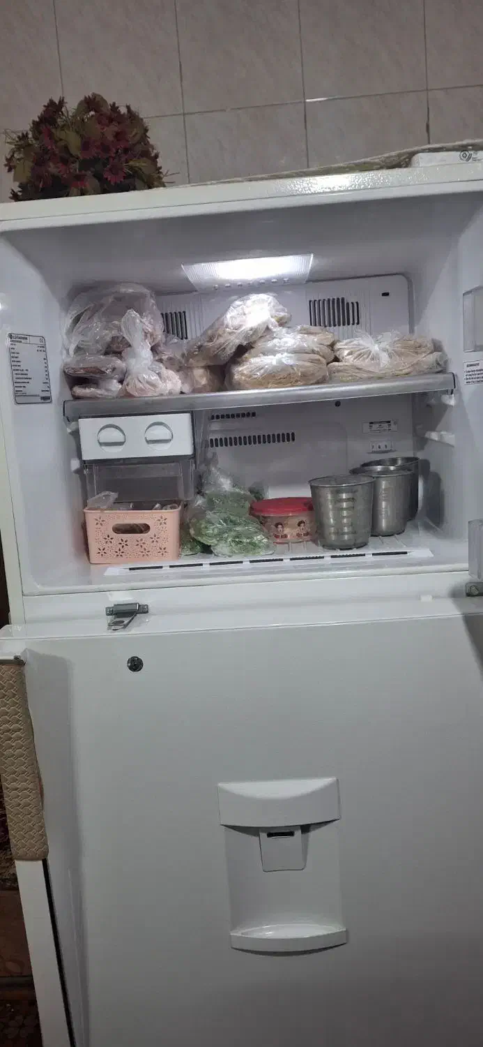 یخچال وفریزر ال جی اصل کره|یخچال و فریزر|شیراز, صاحب الزمان|دیوار