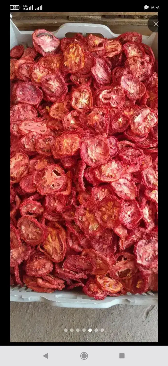 گوجه خشک و سیب خشک|خوردنی و آشامیدنی|ملکان, |دیوار