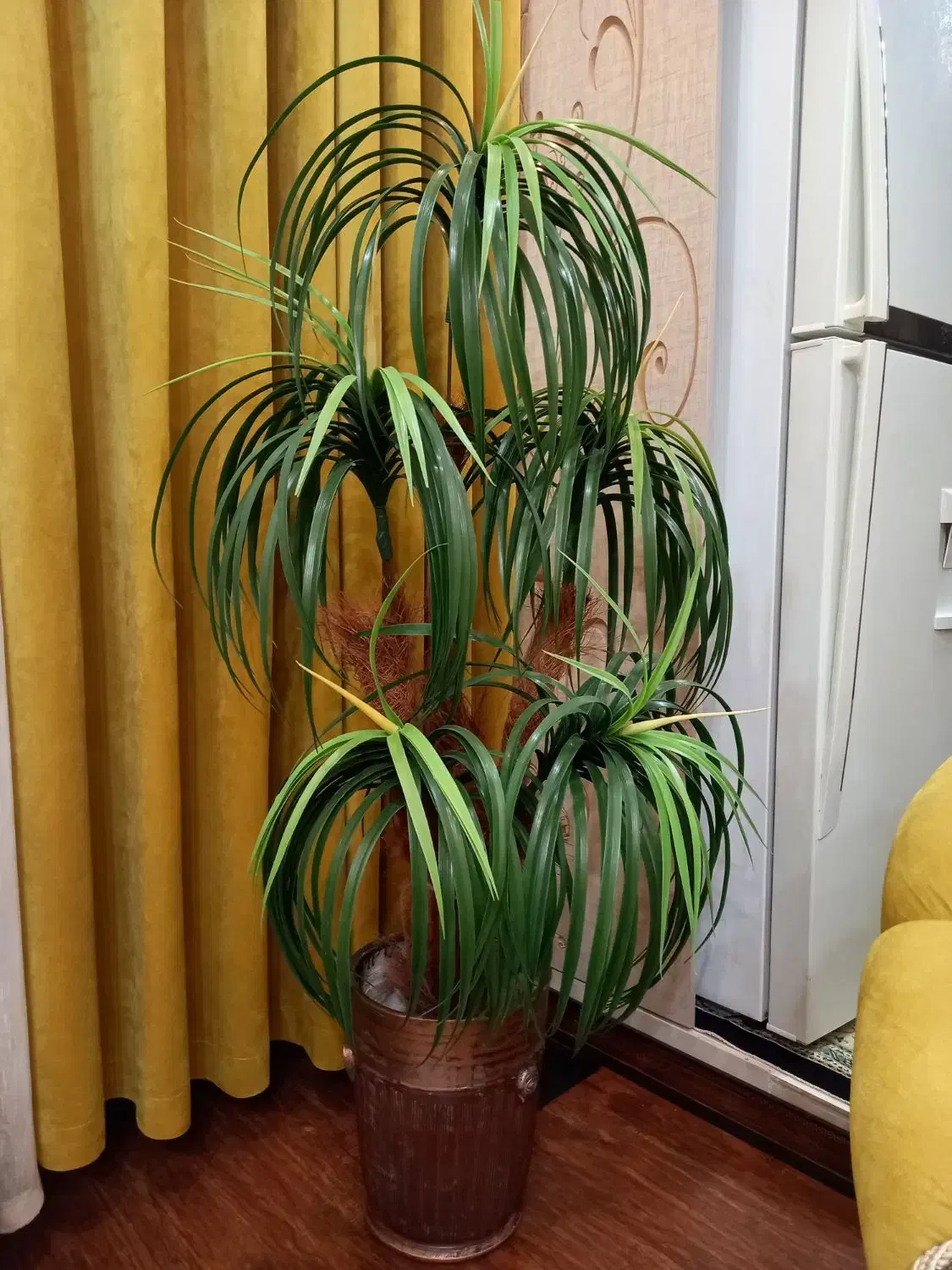 درختچه نو|گل مصنوعی|قزوین, |دیوار