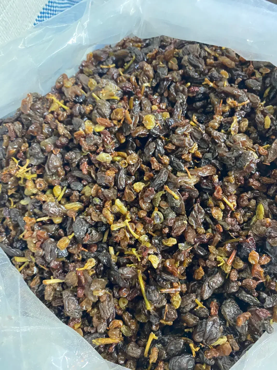 شهر کشمش تاک|عمده‌فروشی|تاکستان, |دیوار