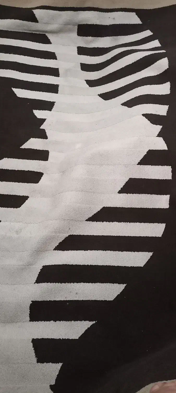 فرش ۶ متری در حد نو|فرش|مشکیندشت, |دیوار