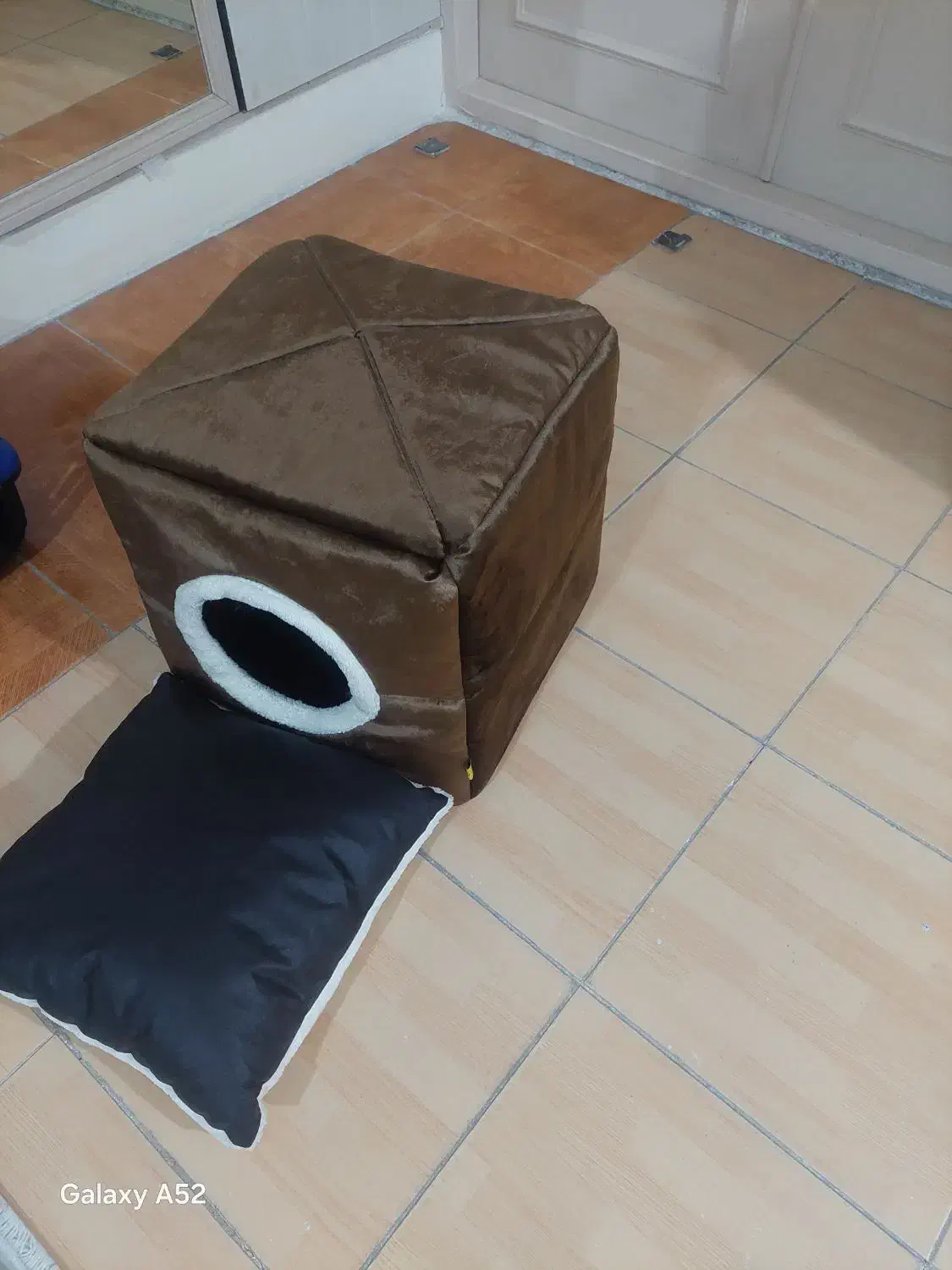 خانه گربه|لوازم جانبی حیوانات|ارومیه, |دیوار