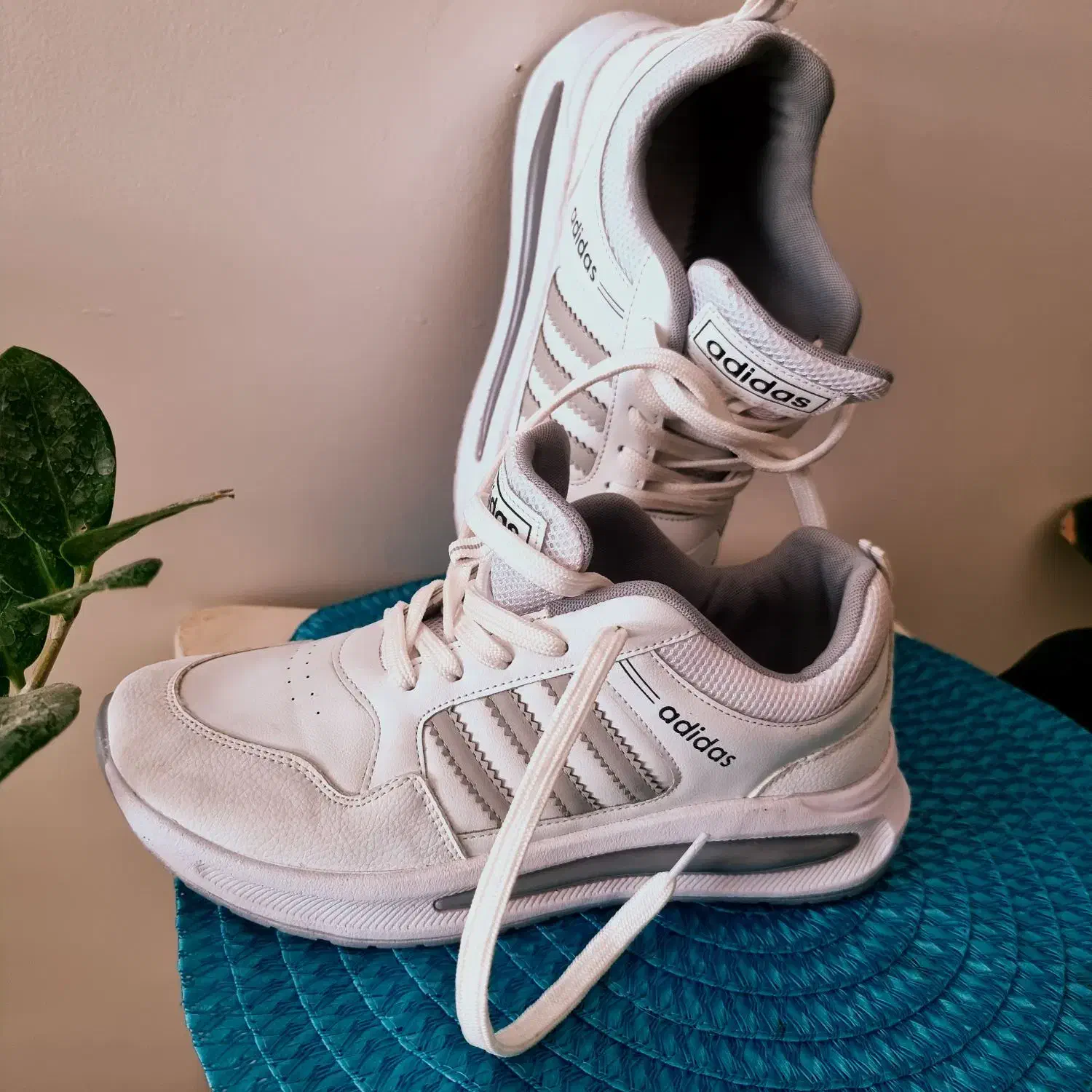 کفش ورزشی،|لباس|اهواز, کمپلو جنوبی|دیوار