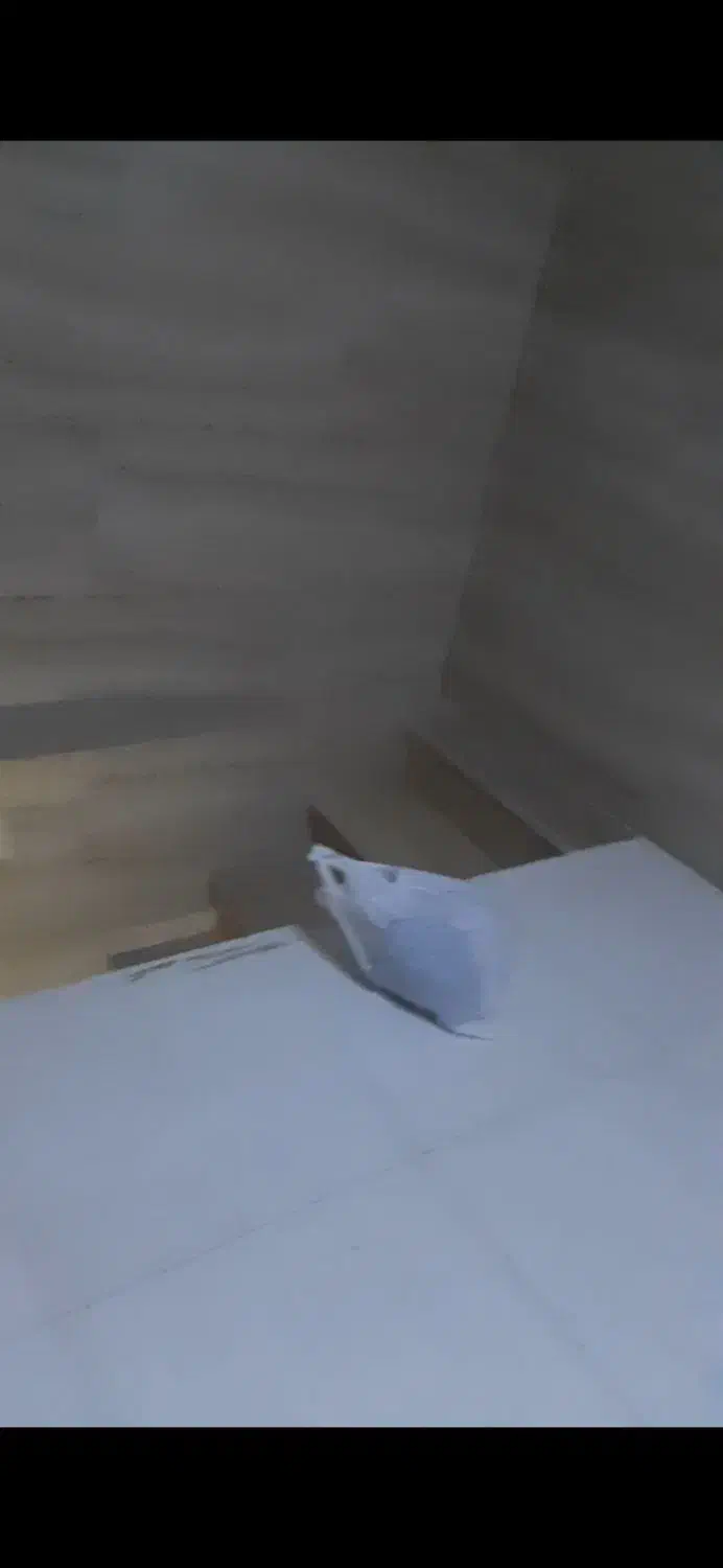 مغازه فروشی|فروش مغازه و غرفه|پاکدشت, پاکدشت (مامازند)|دیوار