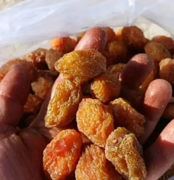 آلوبخارا|خوردنی و آشامیدنی|شیراز, کوشک میدان|دیوار