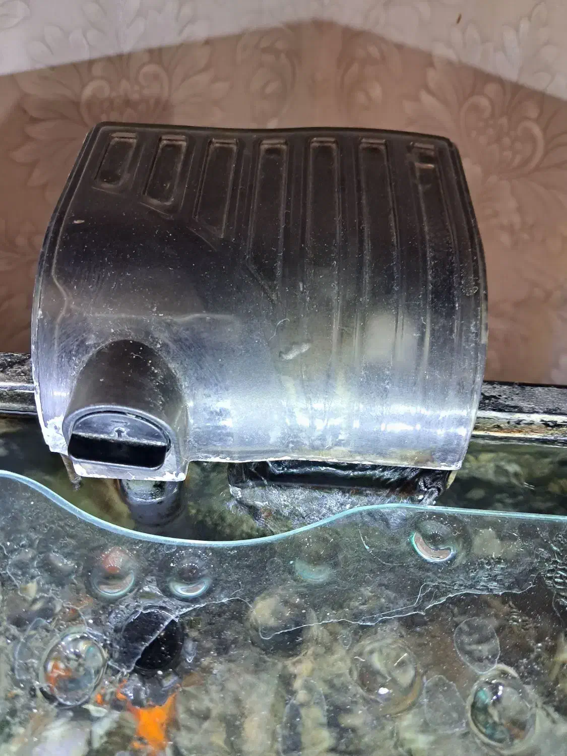 اکواریوم|ماهی|قم, عمار یاسر|دیوار