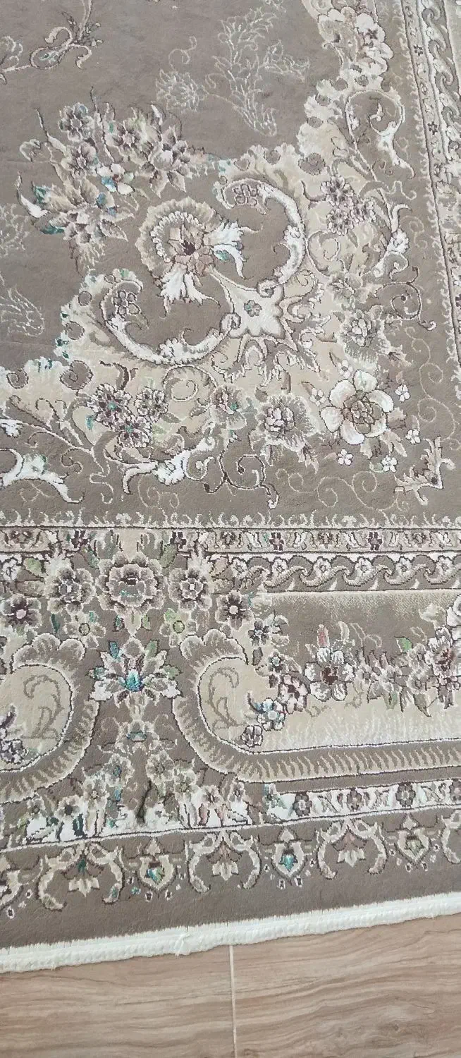 میز و|فرش|قیدار, |دیوار