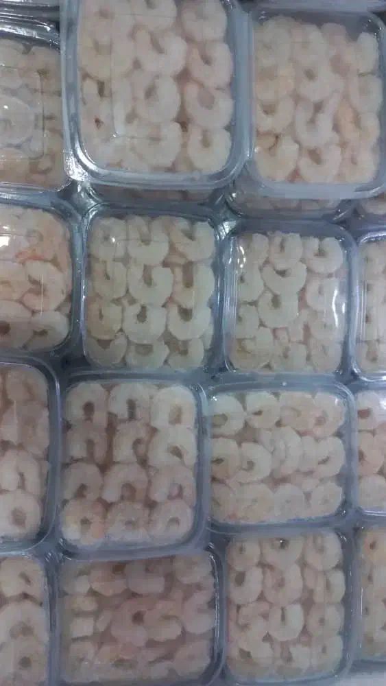 میگو|ماهی|قشم, |دیوار