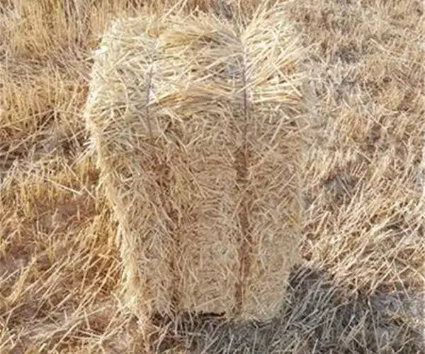 کاه گندم پرس گاوداری عمده فروشی کشاورزی|حیوانات مزرعه|پاسارگاد, |دیوار