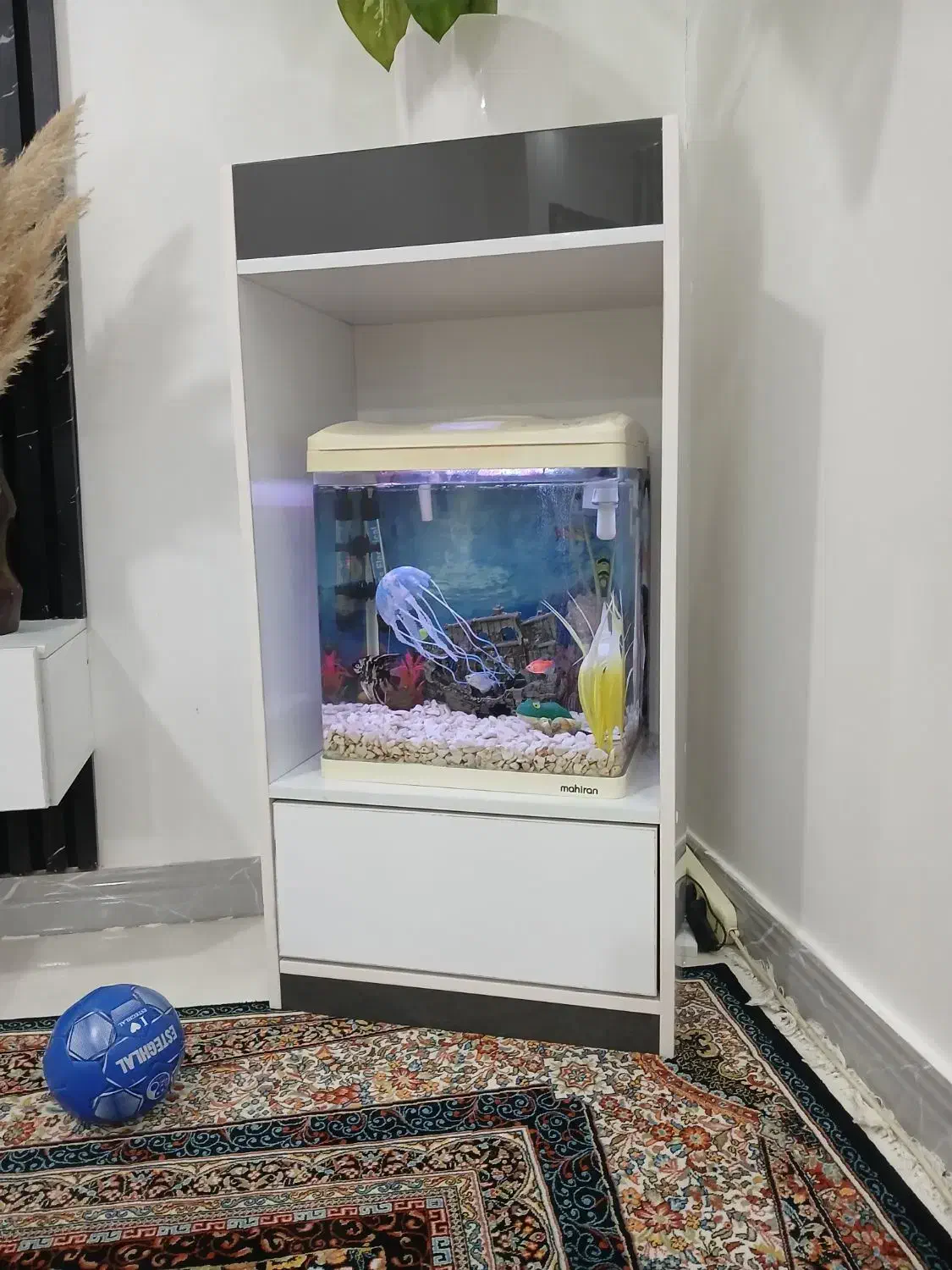 آکواریوم|ماهی|رباطکریم, نصیرشهر|دیوار