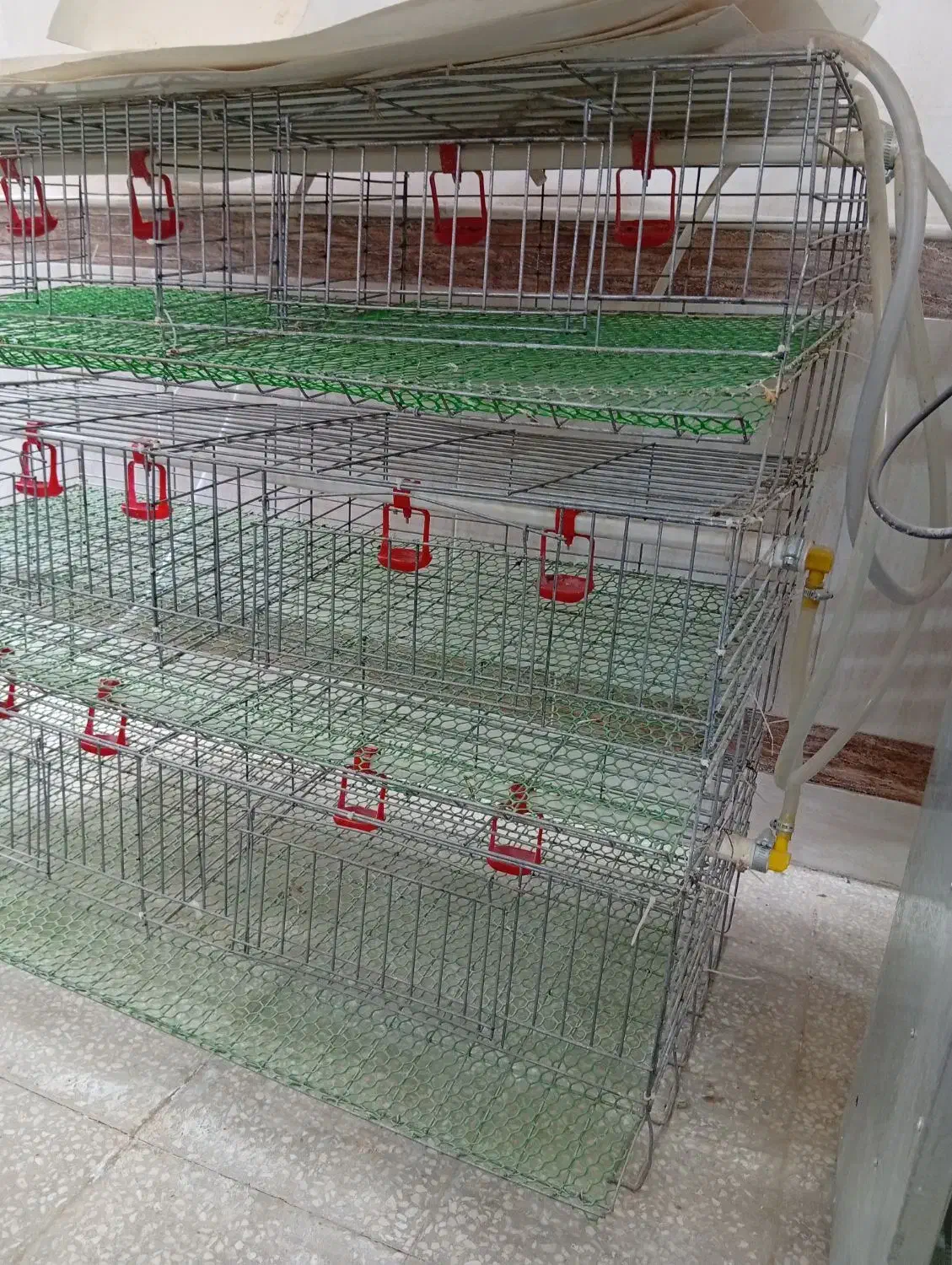 قفس بلدرچین و دستگاه جوجه کشی|لوازم جانبی حیوانات|آران و بیدگل, |دیوار