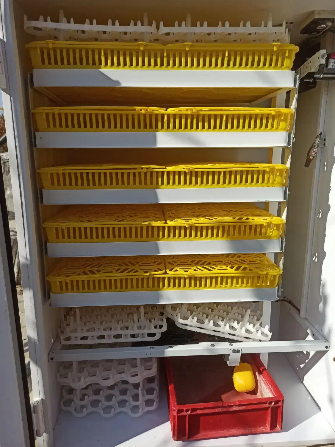 دستگاه جوجه کشی 420عددی|لوازم جانبی حیوانات|سنندج, |دیوار