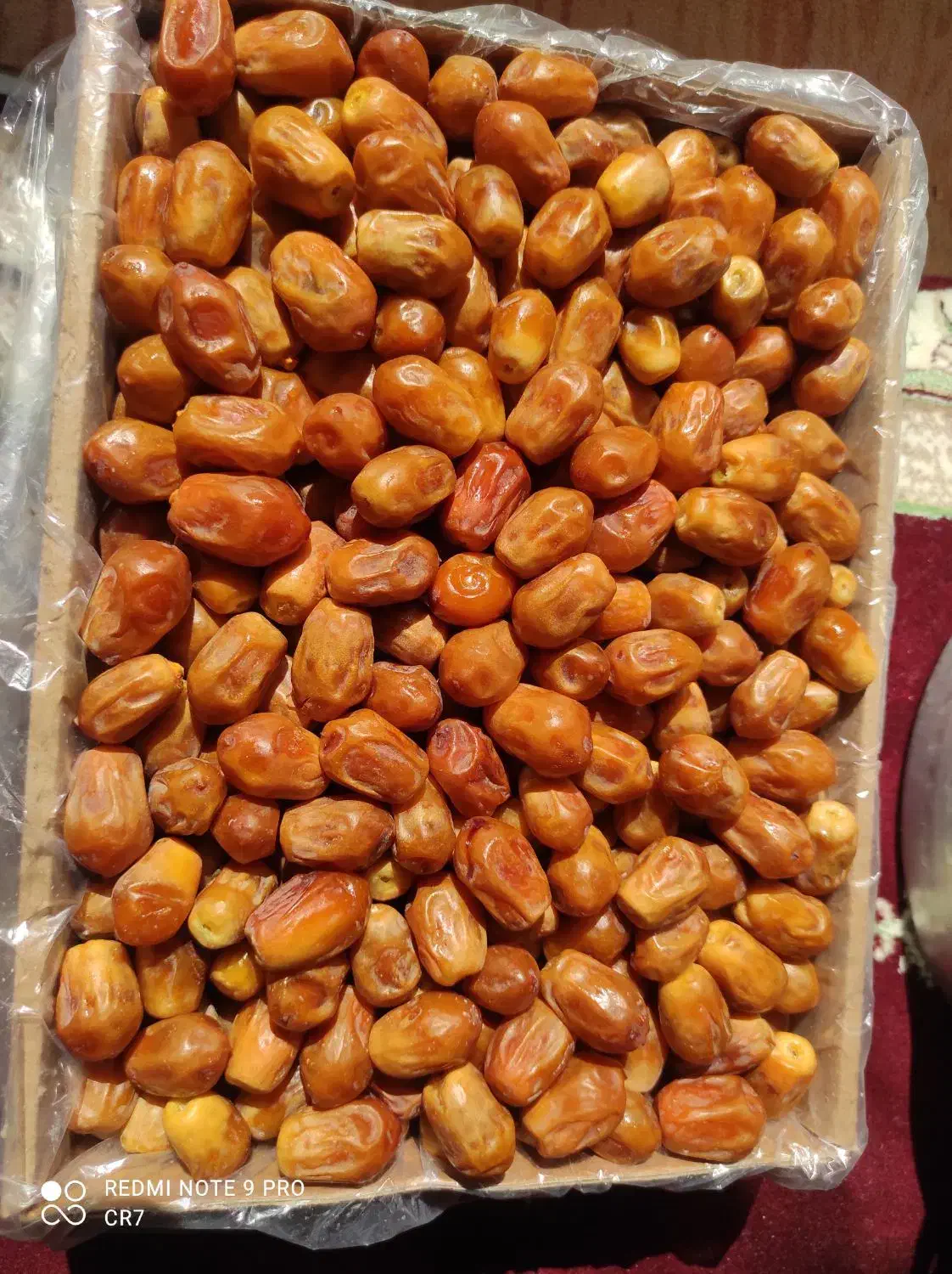 رطب خرما زاهدی پیارم خاصویی درجه یک عمده و خرده|خوردنی و آشامیدنی|شیراز, فخرآباد (دروازه کازرون)|دیوار