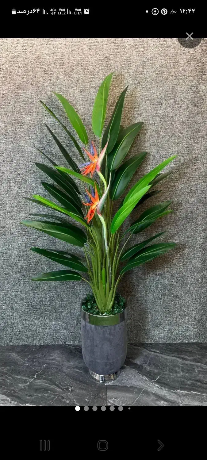 پخش درخت های مصنوعی|گل مصنوعی|قدس, شهرقدس|دیوار