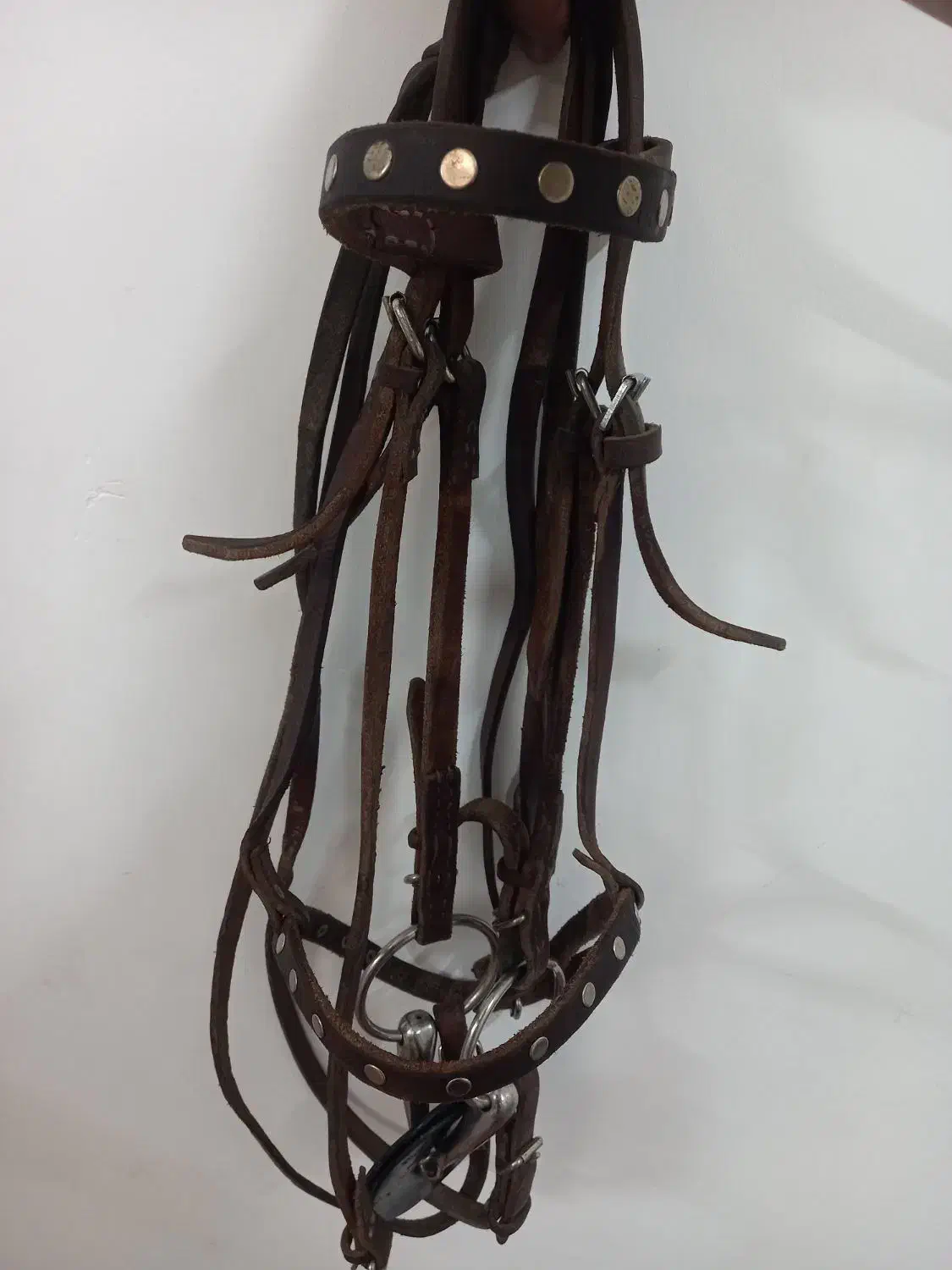 زین و دهنه چرم اصل درحد نو|اسب و تجهیزات اسبسواری|قم, دروازه ری|دیوار