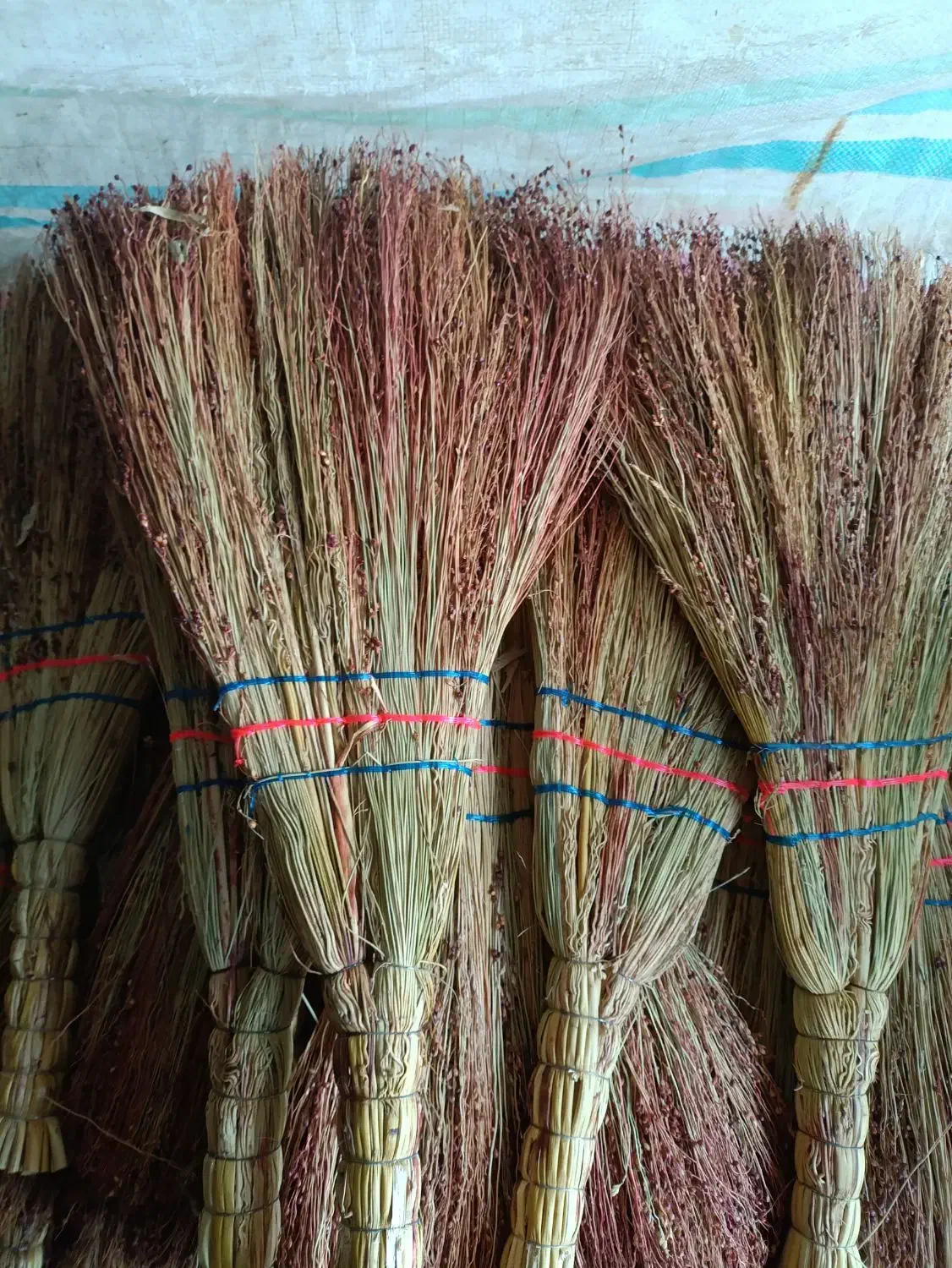 فروش جارو بصورت عمده سبز و قرمز موجود است|لوازم نظافت|میانه, |دیوار